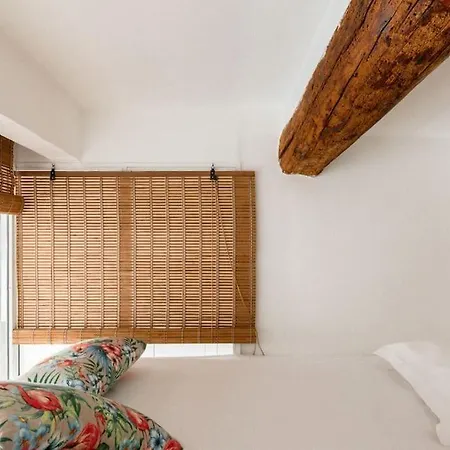 Authentique Situe En Plein Centre D'antibes 公寓 昂蒂布